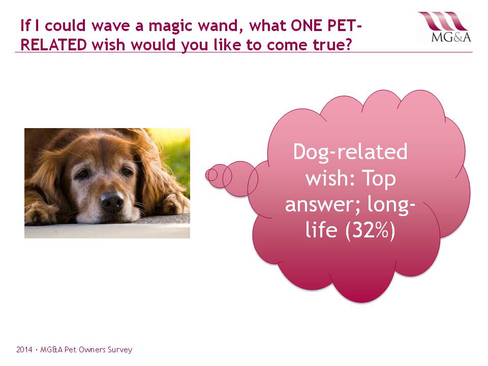 MG&A: Veterinary Market Research – If I could wave a magic wand, what ONE PET-RELATED wish would you like to come true?