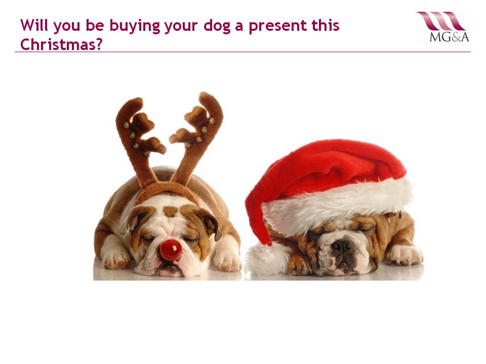 Will you be buying your dog a present this Christmas?