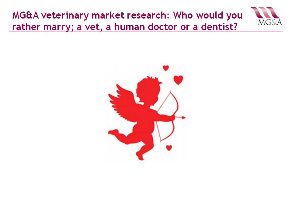 MG&A veterinary market research: Who would you rather marry; a vet, a GP or a dentist?