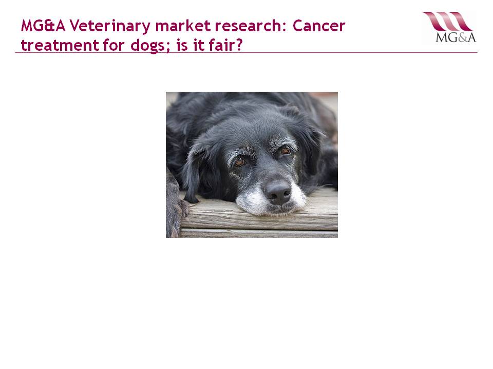 MG&A Veterinary market research: Cancer treatment for dogs; is it fair?