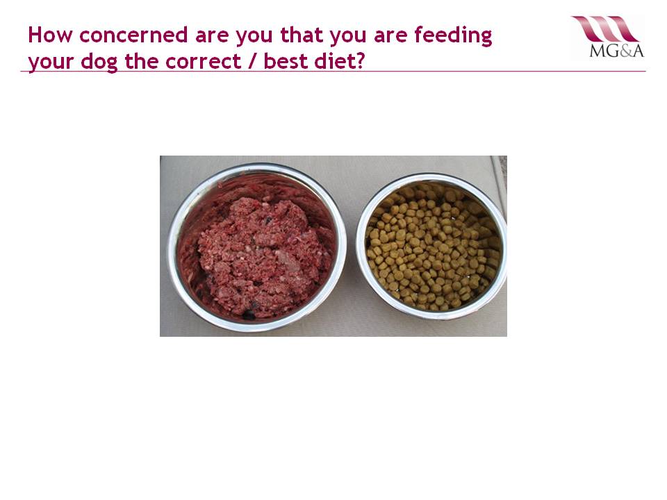 MG&A Pet owner research – How concerned are you about what you are feeding your dog?
