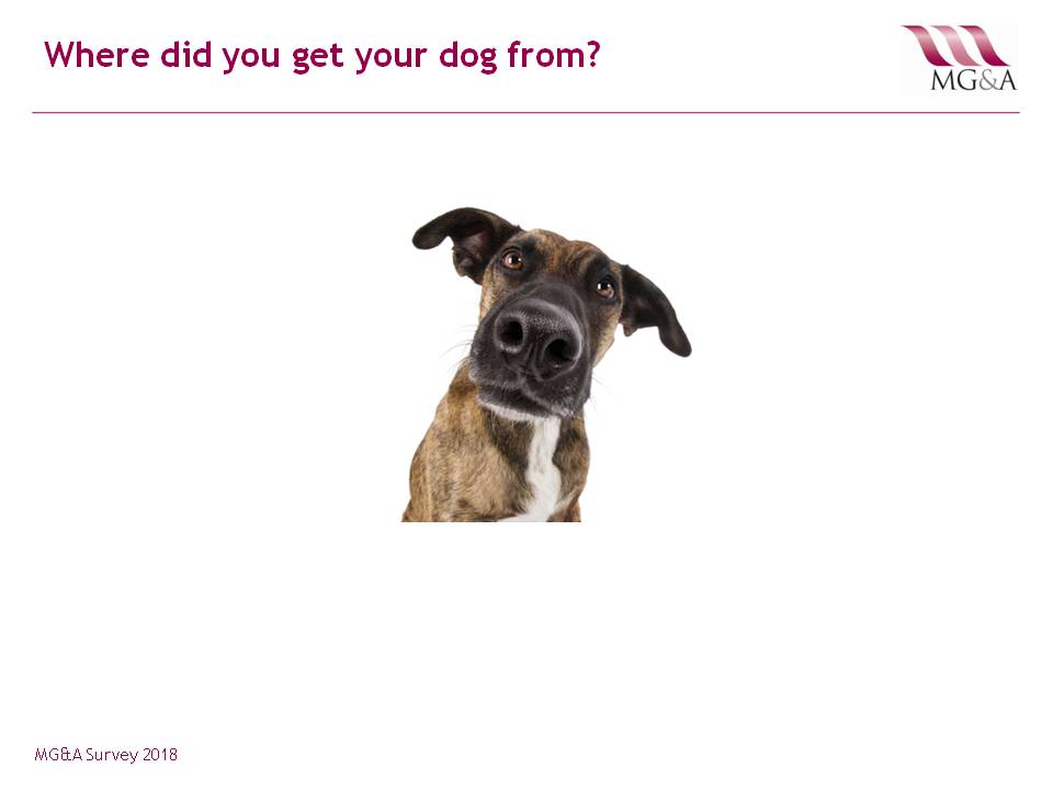 MG&A: Veterinary Market Research: Where did you get your dog from?