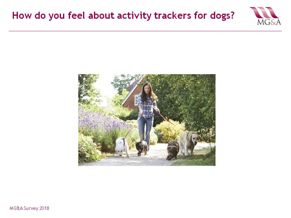 MG&A: Veterinary Market Research: How are your New Year’s Resolutions going?