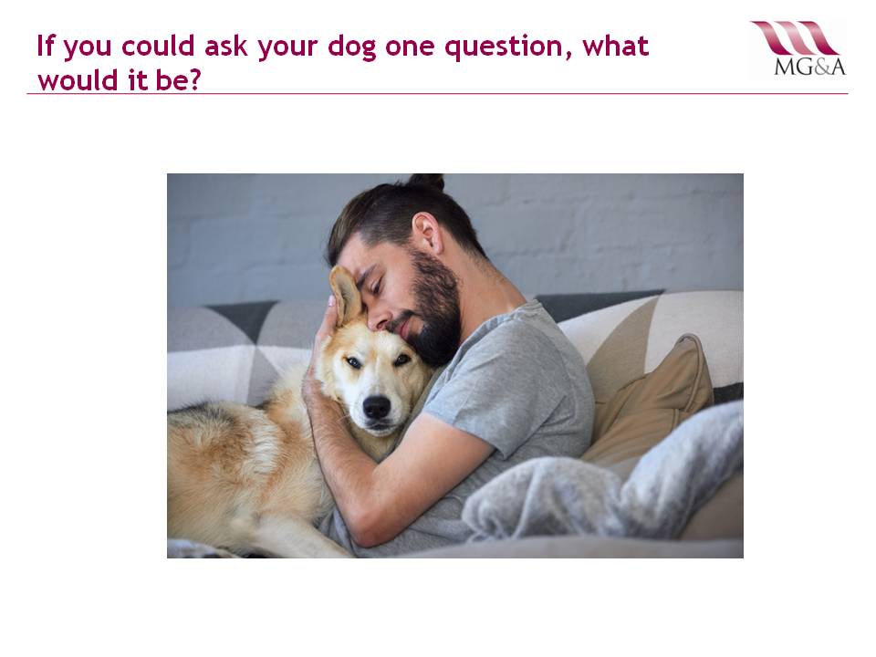 MG&A: Veterinary Market Research: If you could ask your dog ONE question, what would it be?