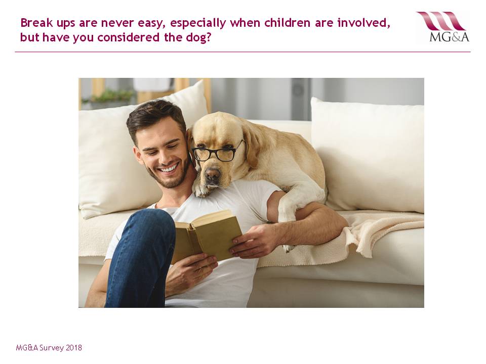 MG&A Veterinary Market Research: Who would get your dog if you were to divorce?