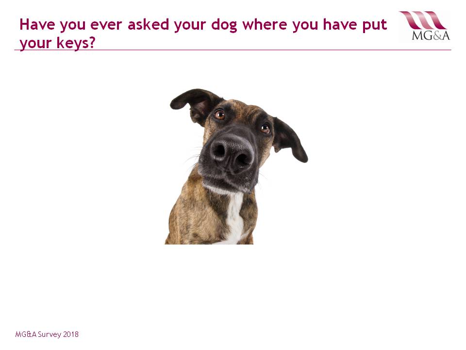 MG&A Veterinary Market Research: What are you talking to your dog about?