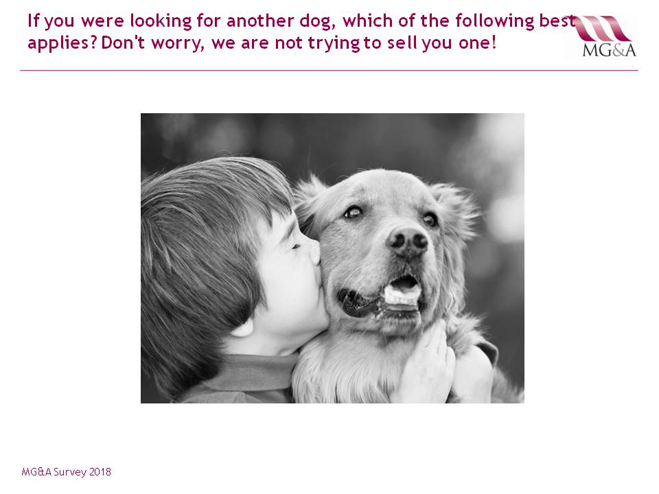 MG&A Veterinary Market Research: What is stopping you from adopting a rescue dog?