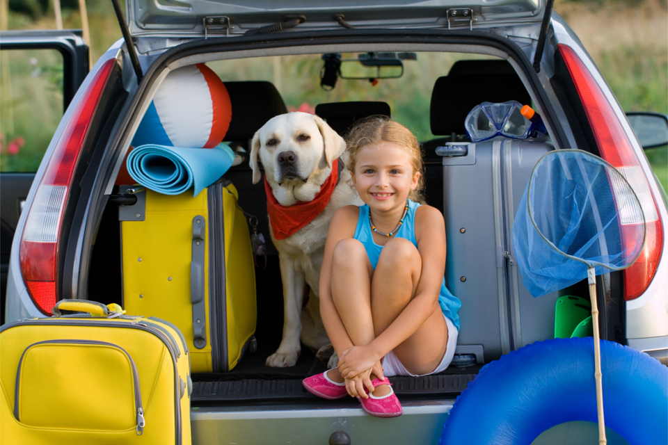 To what extent do owners of pets with a chronic condition adjust?